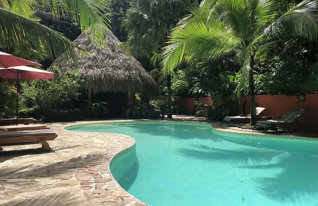 Hotel El Pequeno Gecko Verde-1